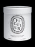 Figuier / Fig Tree Giant Candle